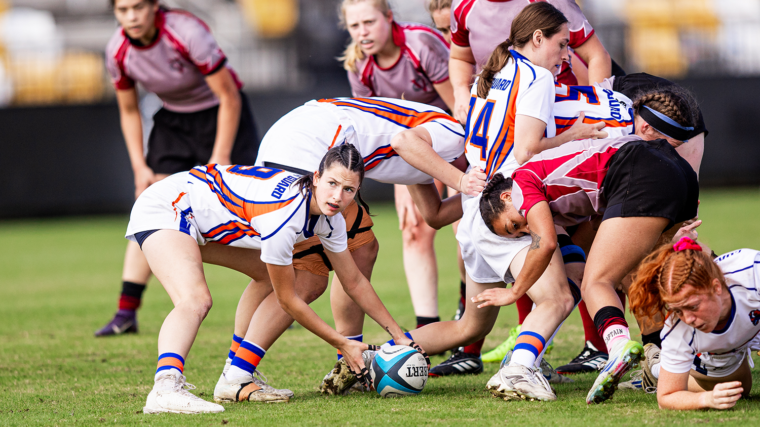 Preseason Power Rankings: Can Coasties Coast to Another Women’s DII Title?
