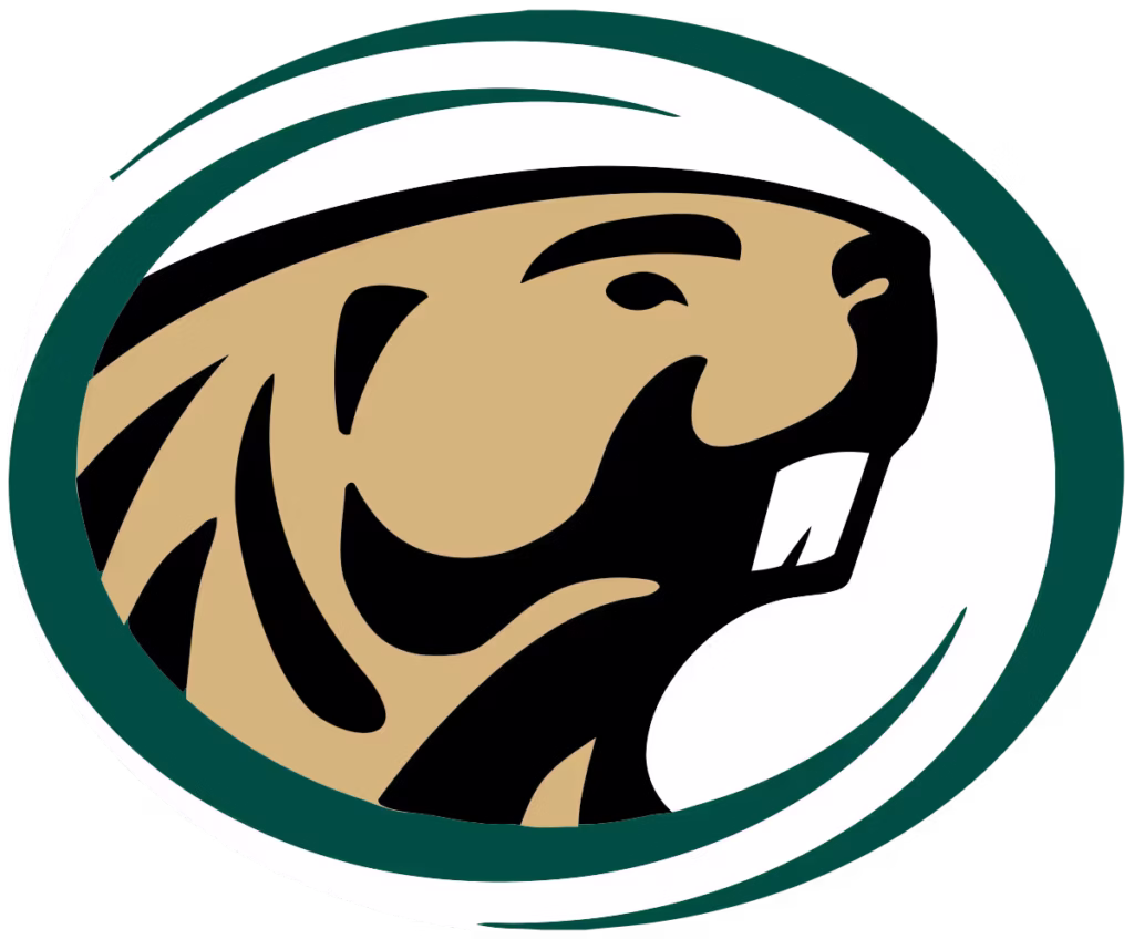 Bemidji State University Men logo