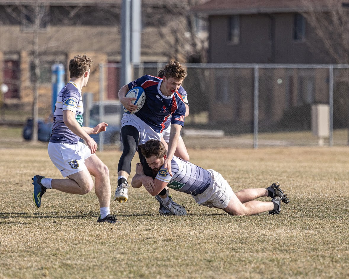 Bluegolds
