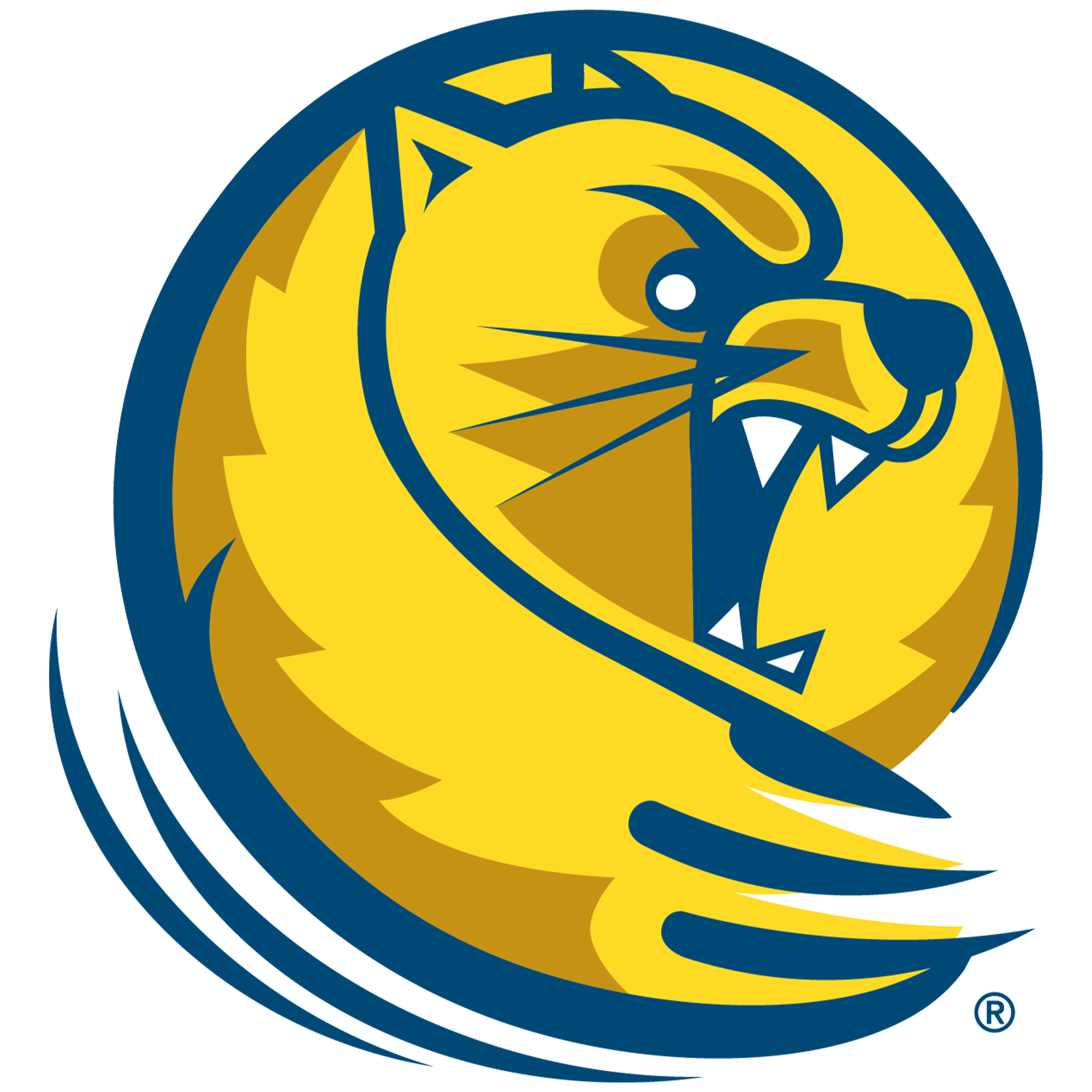 Lander University Men