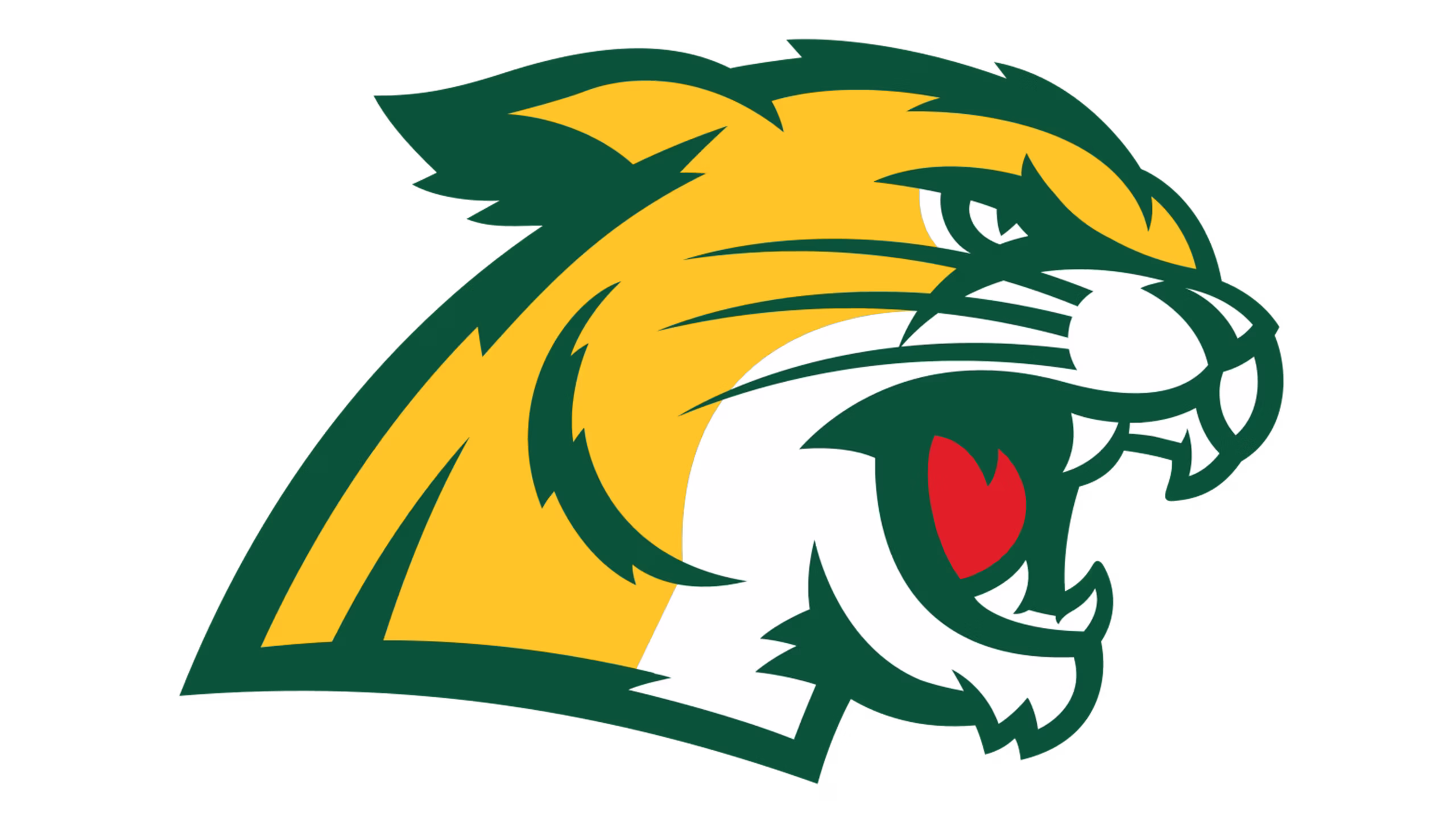 Northern Michigan University Women