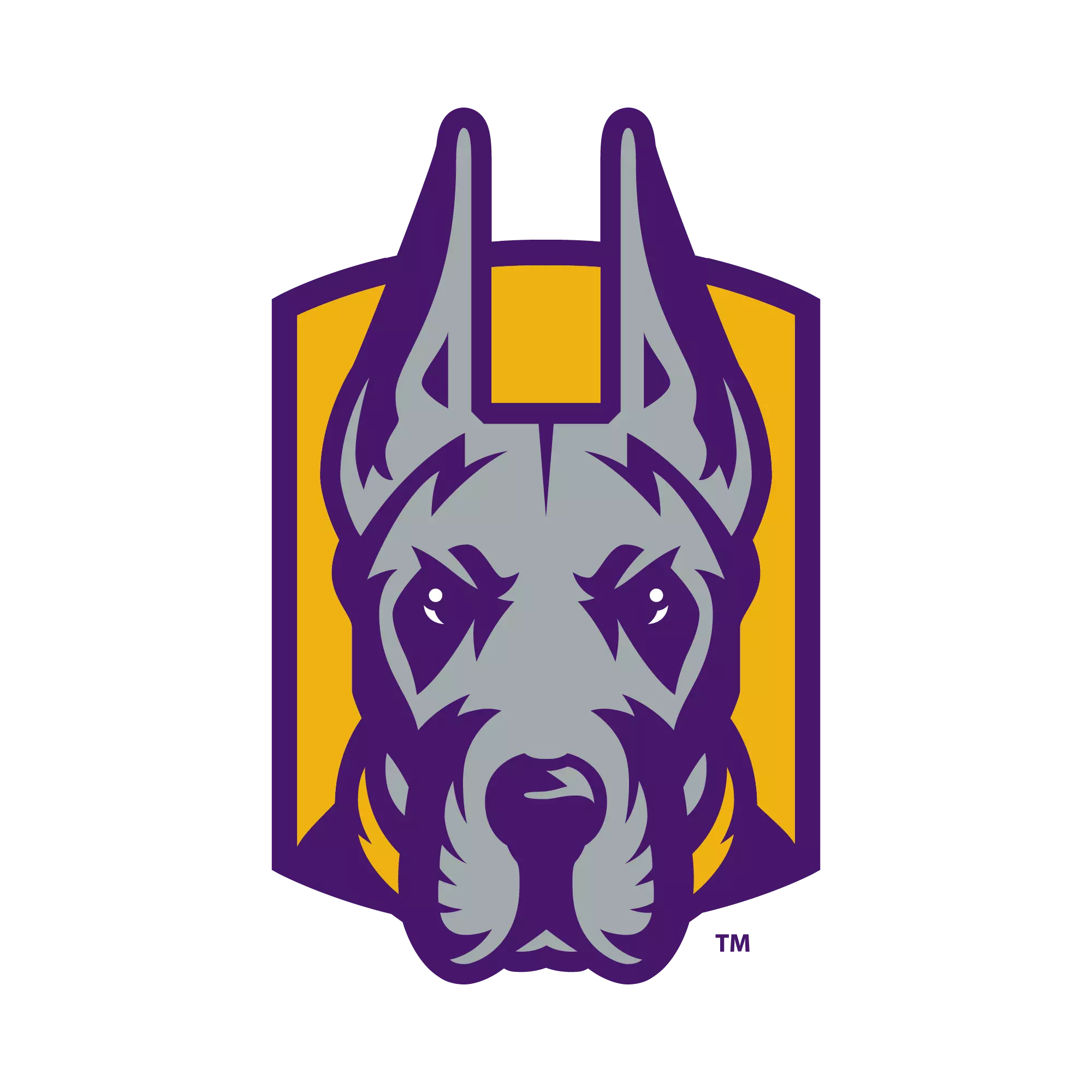 University at Albany Men