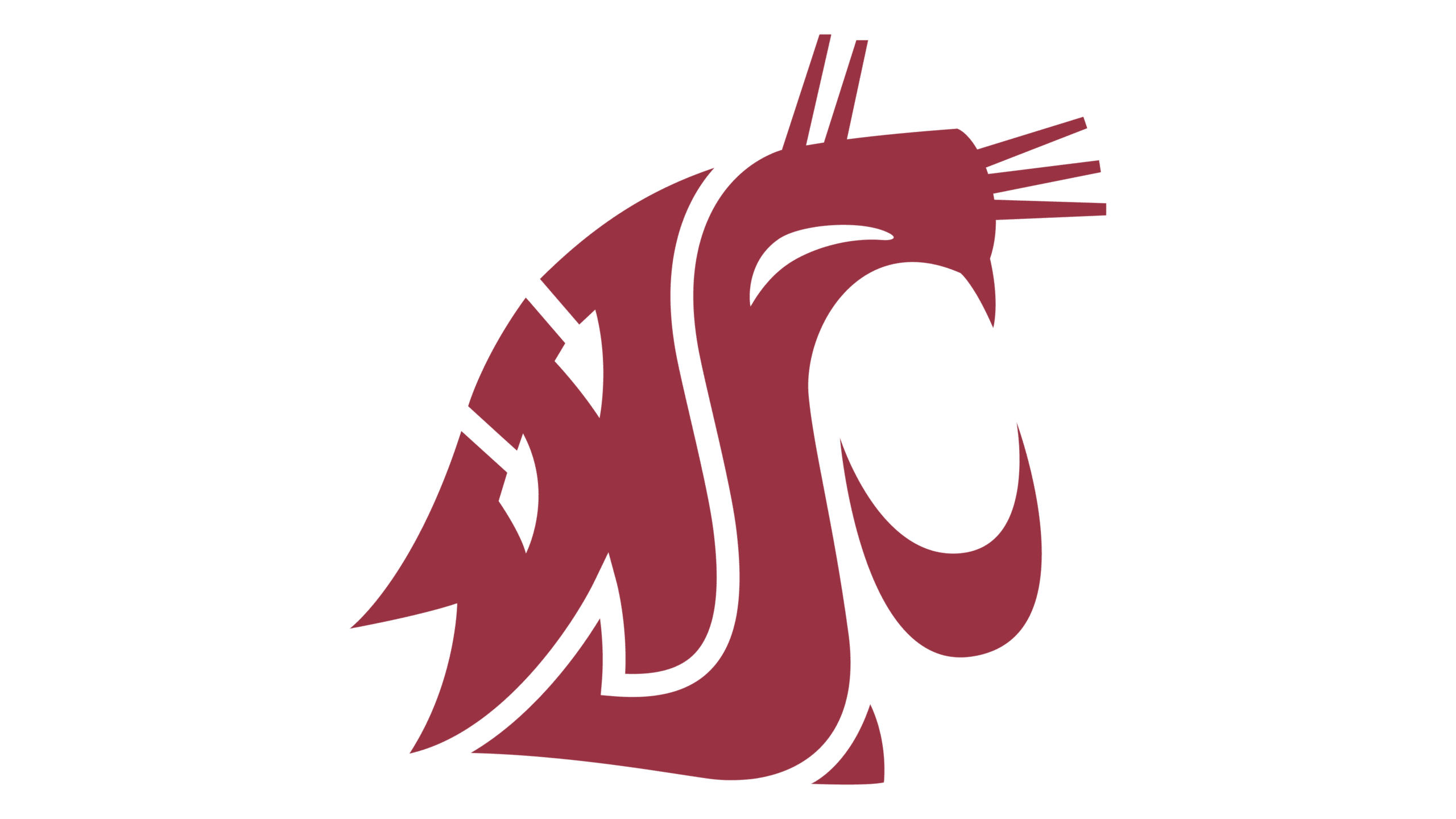 Washington State University Men